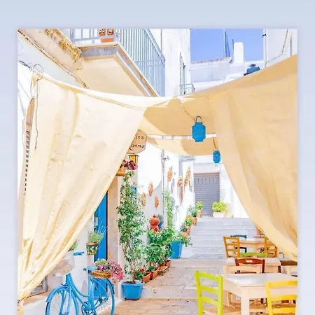 Welcome Friends&family * 세글리에 메사피카